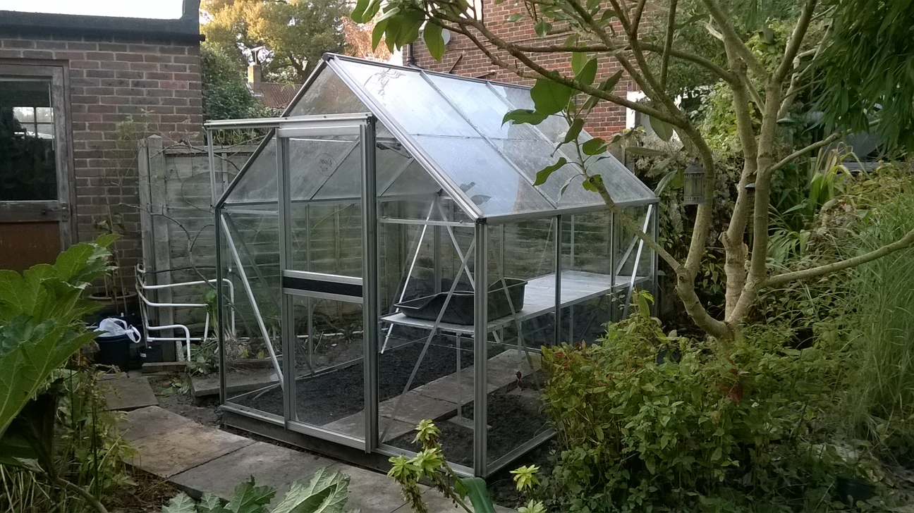 Our greenhouse 'Hurricane'