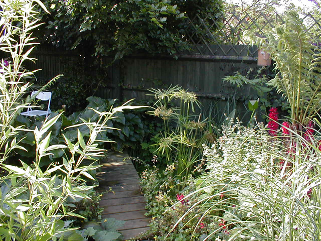 July 2001 - pond garden