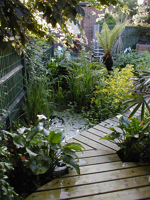 June 2001 - Pond and round deck